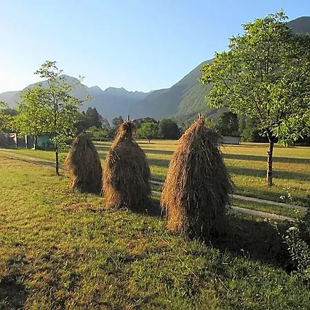 Apartment Glamping Narnia Bovec