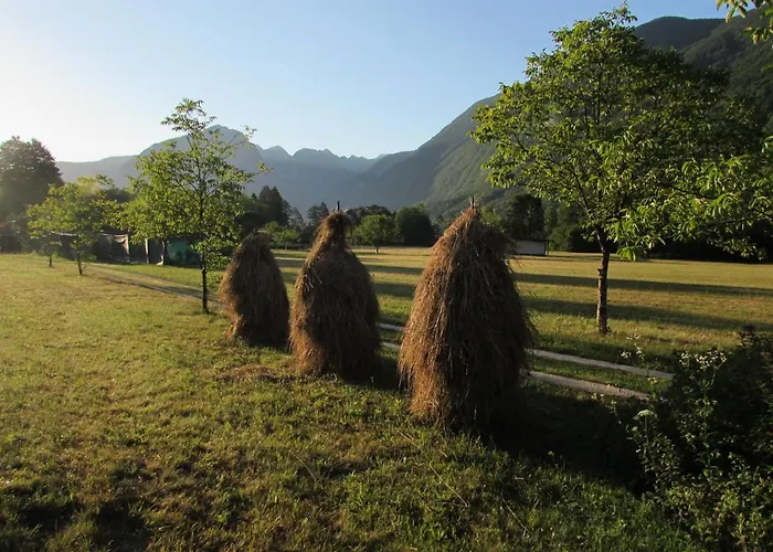 شقة Glamping Narnia بوويتش