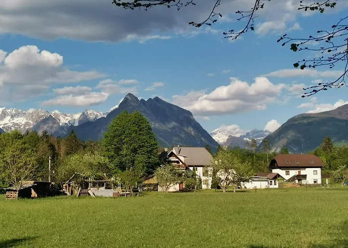 شقة Glamping Narnia بوويتش